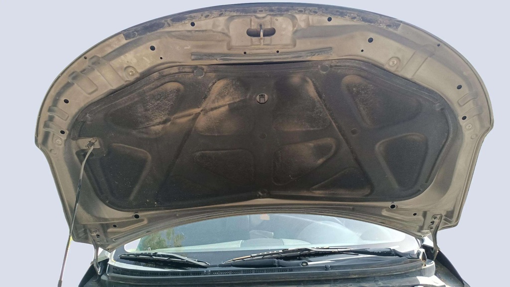 CAR HOOD