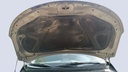 CAR HOOD