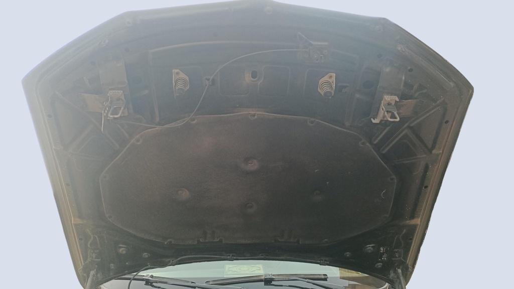 CAR HOOD
