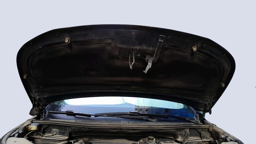 CAR HOOD