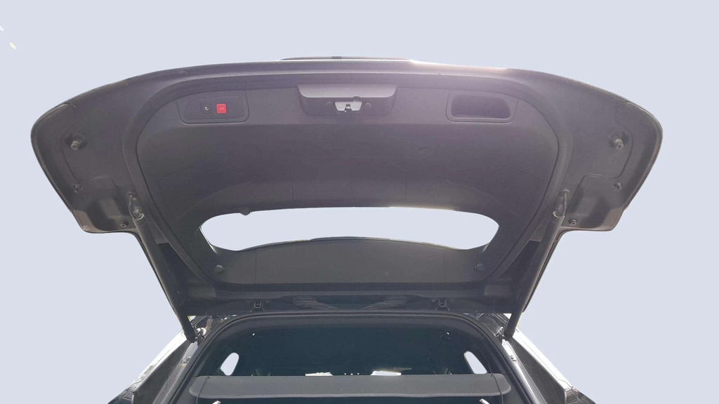 TRUNK HOOD