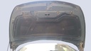 CAR HOOD