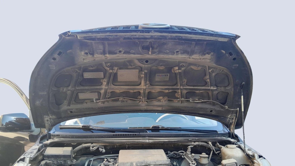 CAR HOOD