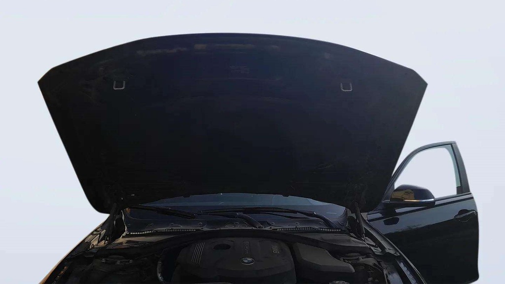 CAR HOOD