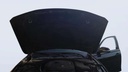 CAR HOOD