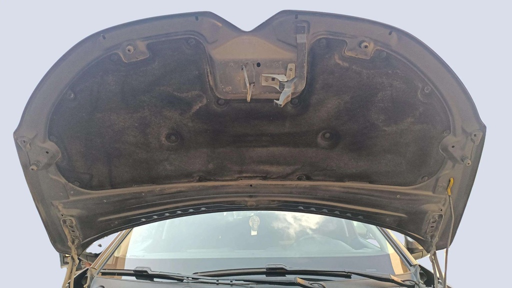 CAR HOOD
