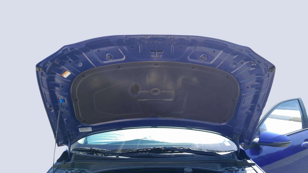 CAR HOOD