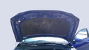CAR HOOD