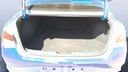 TRUNK