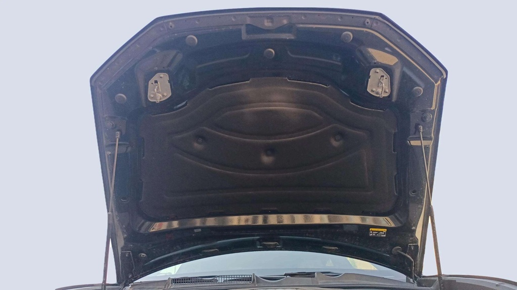 CAR HOOD