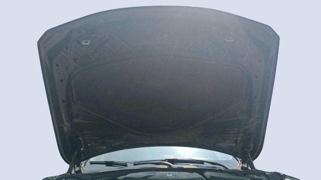 CAR HOOD