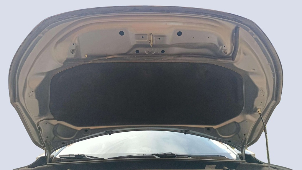 CAR HOOD