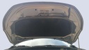 CAR HOOD