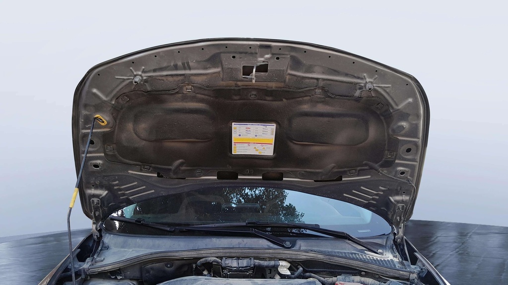 CAR HOOD