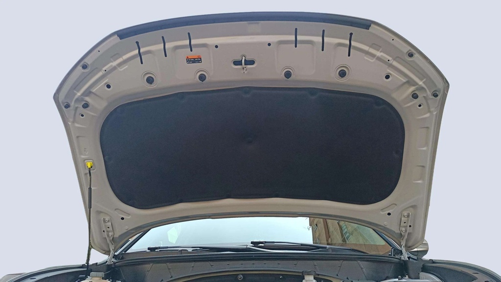 CAR HOOD