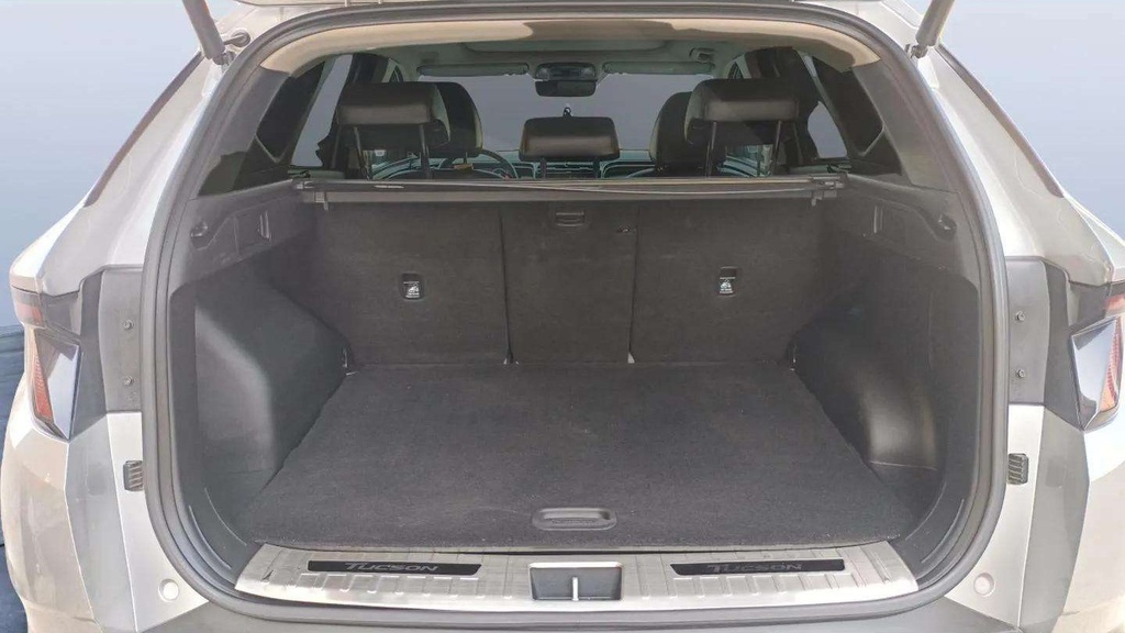 TRUNK