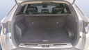 TRUNK