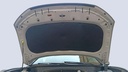 CAR HOOD
