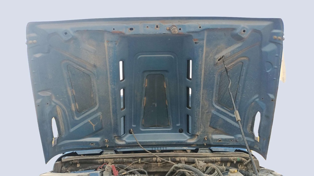CAR HOOD