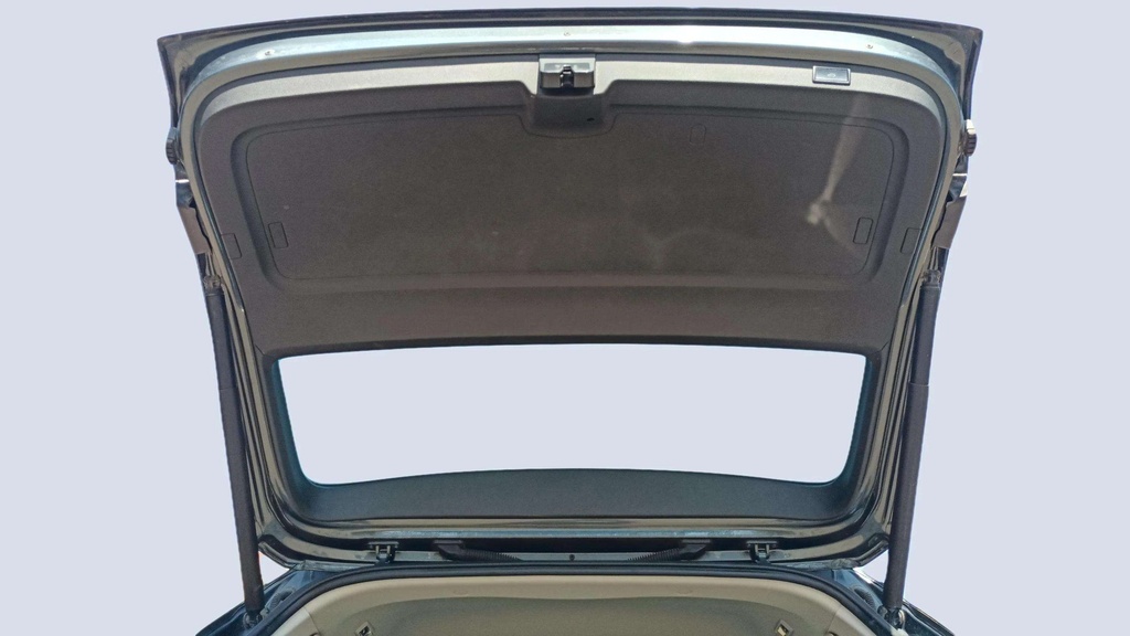 TRUNK HOOD