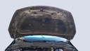 CAR HOOD