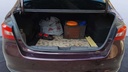 TRUNK