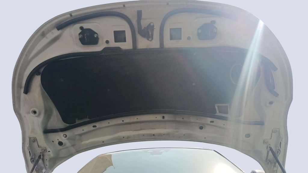 CAR HOOD