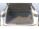 TRUNK