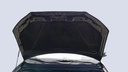 CAR HOOD