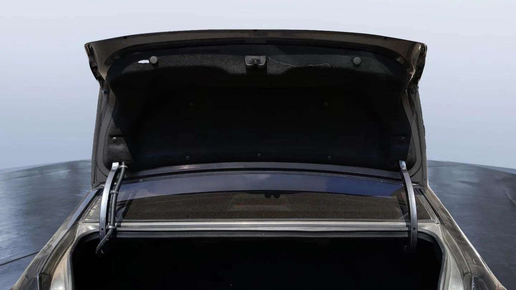 TRUNK HOOD