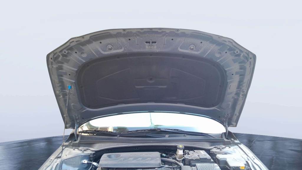 CAR HOOD