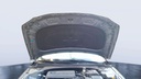 CAR HOOD