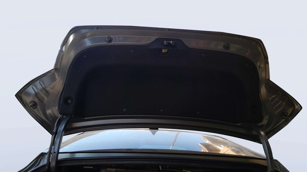 TRUNK HOOD