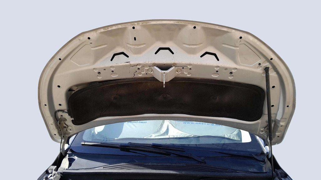 CAR HOOD