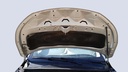 CAR HOOD