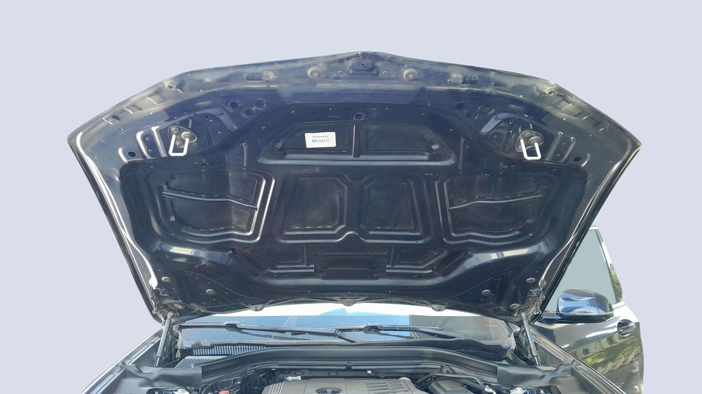 CAR HOOD
