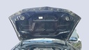 CAR HOOD