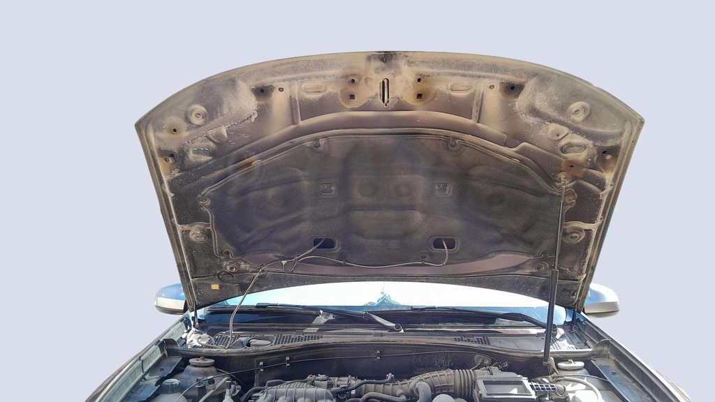 CAR HOOD