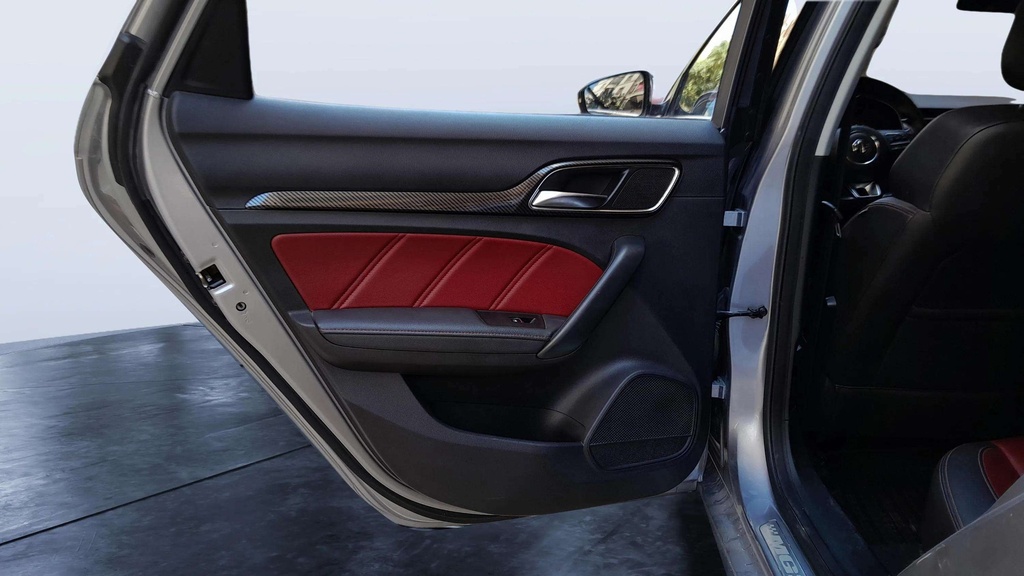 RR L DOOR