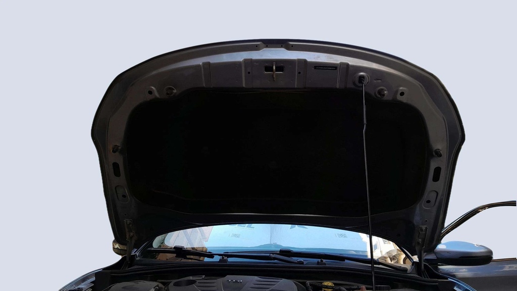 CAR HOOD