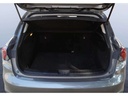 TRUNK
