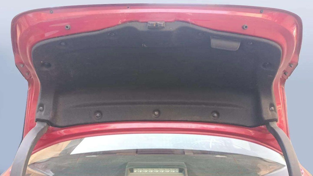 TRUNK HOOD
