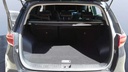 TRUNK