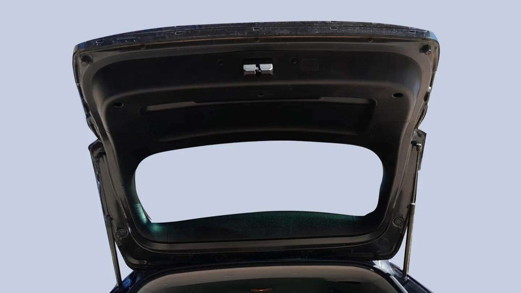 TRUNK HOOD