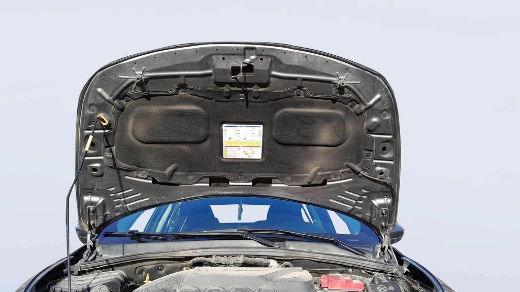 CAR HOOD
