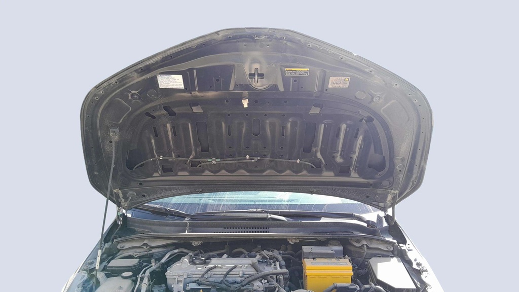 CAR HOOD