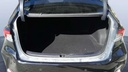 TRUNK