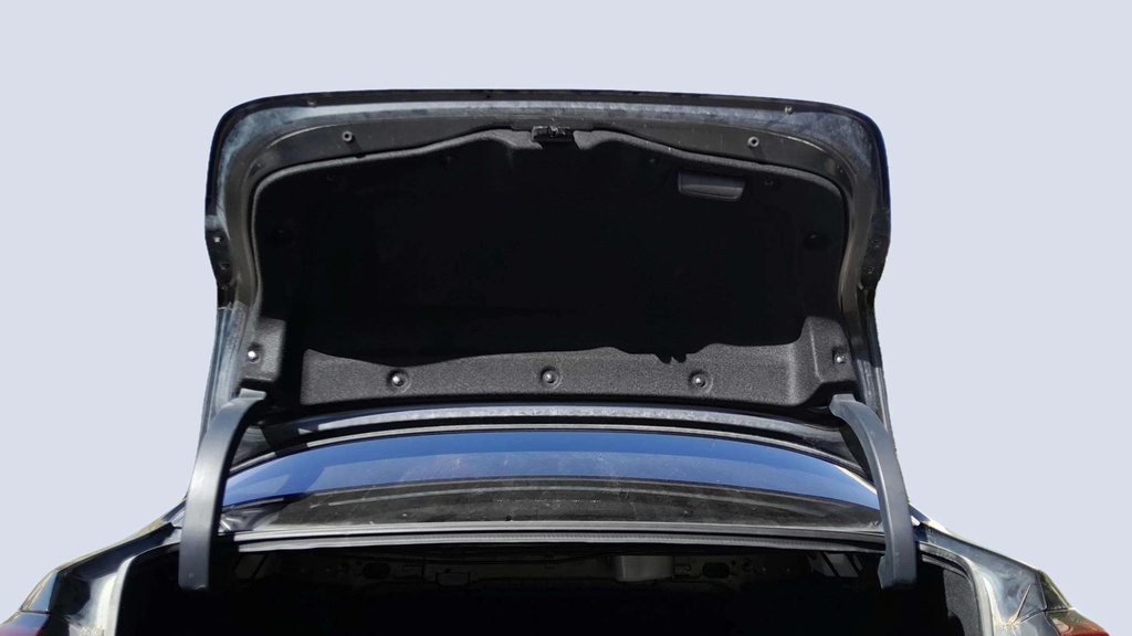TRUNK HOOD