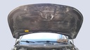 CAR HOOD