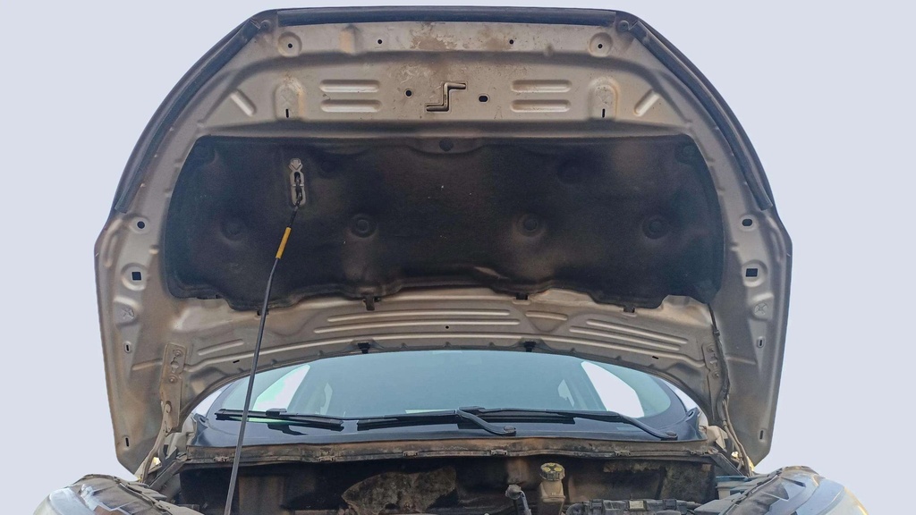 CAR HOOD